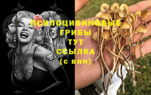 винт Белокуриха