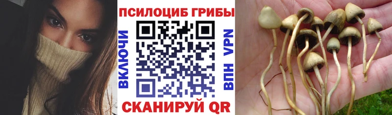Галлюциногенные грибы GOLDEN TEACHER  как найти закладки  Окуловка 